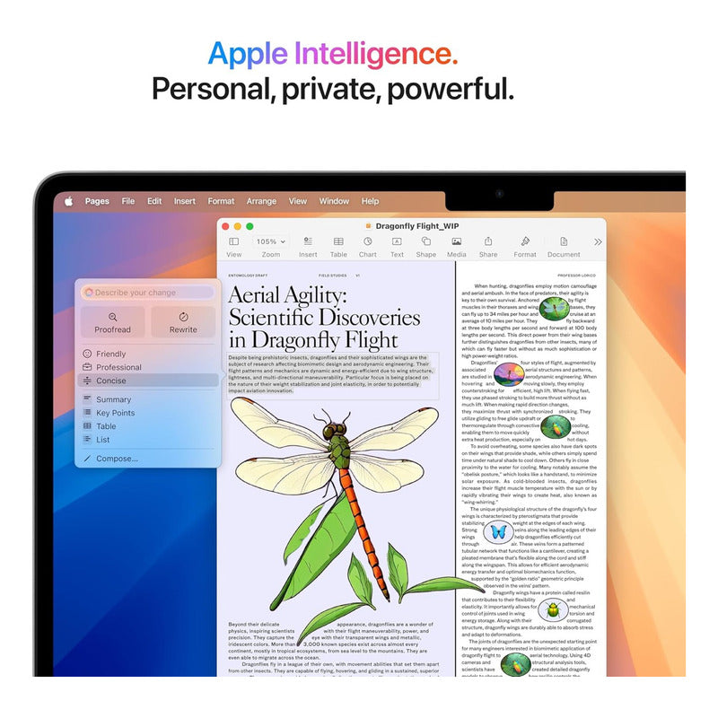 Macbook Air 13 M4 10c Cpu 8c Gpu 16gb Ram 256 Gb Ssd Kb Us Silver