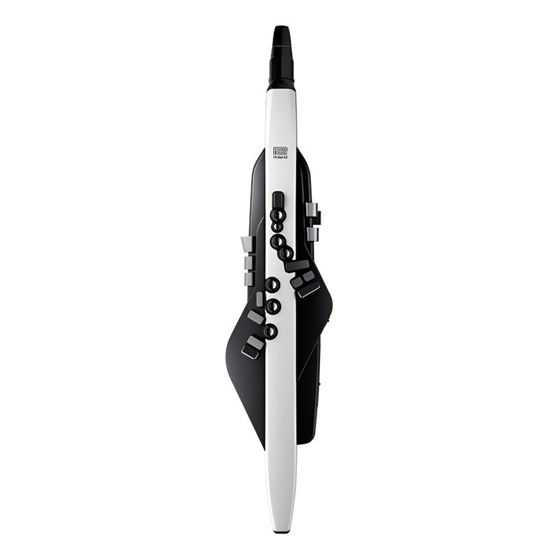 Roland Aerophone Ae-20 Instrumento Viento Digital Blanco Y Negro