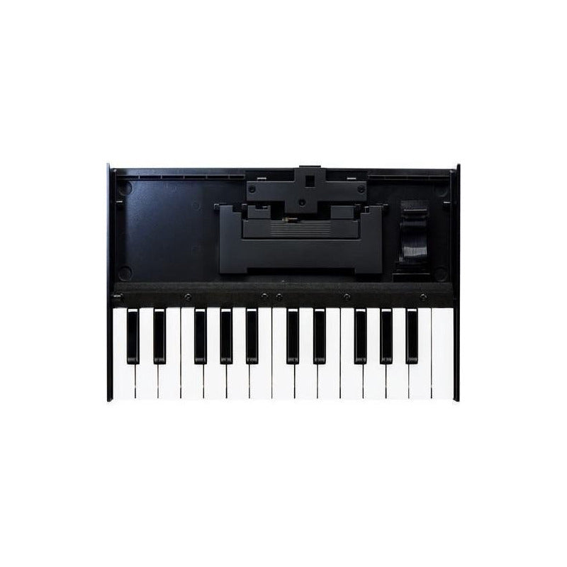Roland K-25m Teclado Para Roland Boutique Series Multi Colorido