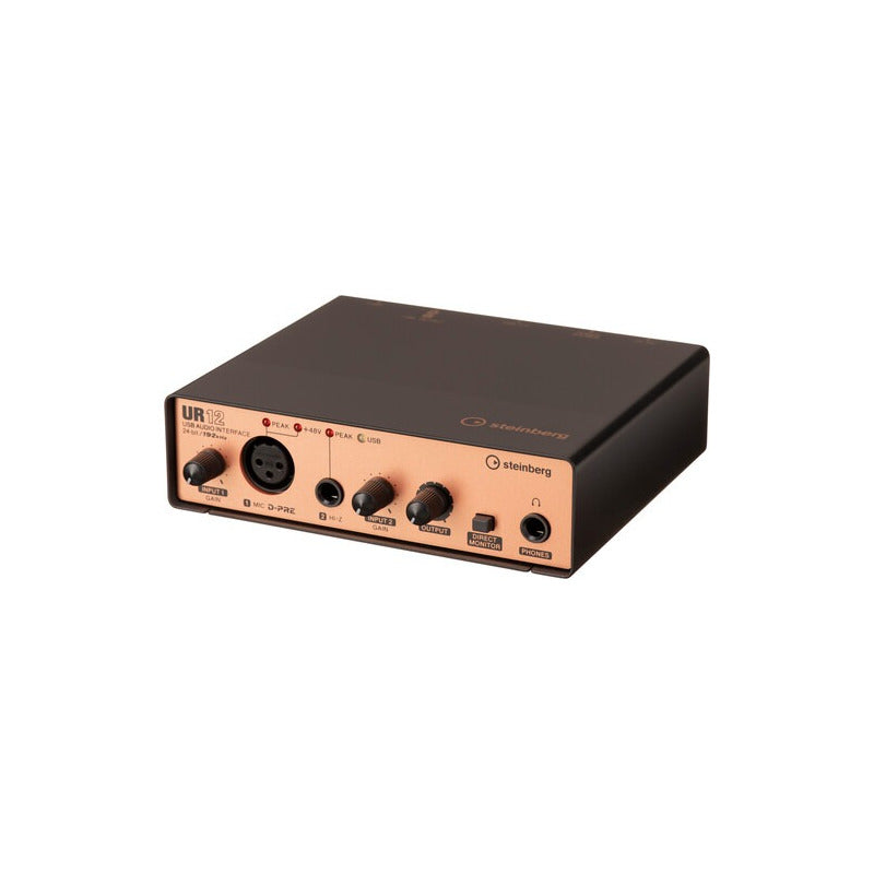 Steinberg Ur12 2 Canales 24 Bit/192khz Gris