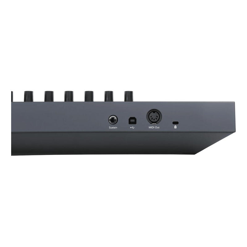 Novation Flkey 49 Teclado Midi Controlador Usb Negro